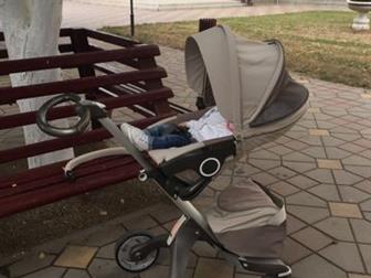     stokke Xplory 31   ,    : ,   , , ,  ,    