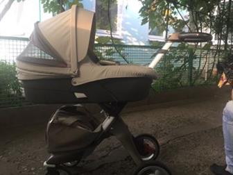     stokke Xplory 31   ,    : ,   , , ,  ,    