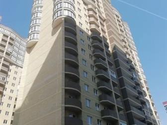  1  40-  178 3,     ,   2019  ,   ,     ,   