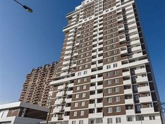  2-     1  (     3- ),  ,  ,   !  