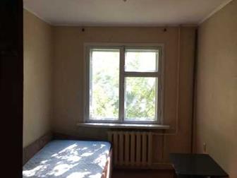 3-         ,   ,  
  ,  65 , , ,      