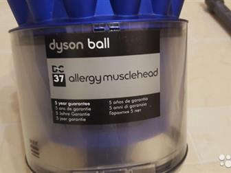   Dyson DC37 Allergy Musclehead ,  ,   (,  , )    