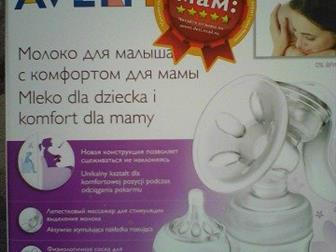   PHILIPS AVENT   , : /  