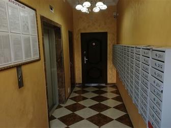  1 !    !     ,   ,       ,   -  