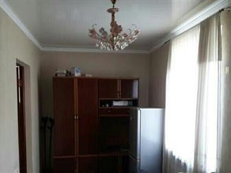  2   42 , ,  1/2        ,    - ,   -  , , ,  