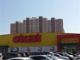  100- 3-      ,    2016 ,  
 -  , 
       