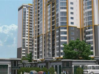  1, 11 , 1 , 
  75%, 
          ,  20, 01, 2020,    