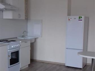      2019,    - (),     ,      :  