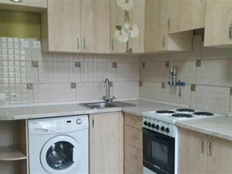  1-    -, 38 , ,    ,     , , ,   ,  ,    