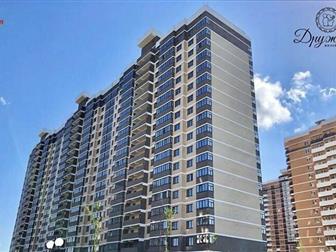   ,   2020,    ,        ,     ,   ,    