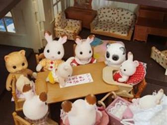    Sylvanian Families    ,    2 , ,   ,    ,   ,  