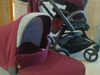 :    ,       50, 000,         ,   Inglesina QUAD  