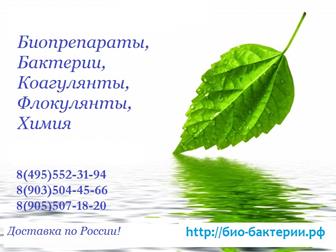           , , ,   , , , ,   37459348  