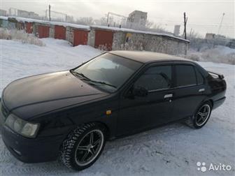      ,   Nissan Bluebird   SSS     !     ,    