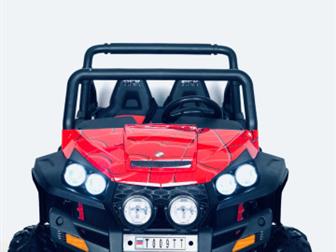   BUGGY T009TT-SPIDER (4*4),    !!!      : , , -  , , 1, 3 ,  