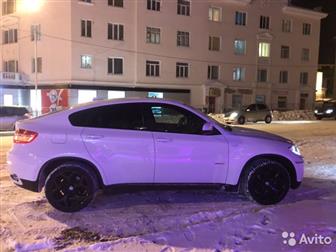  BMW X6,        ,   ,    - ,    ,      ,    