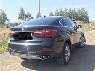  BMW X6,   ,  BUSINESS,  ,   ,  !!!!    !!!  