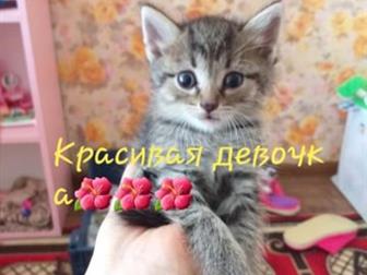   ,  !    ,   ,    , ,   !  