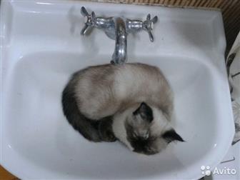       ,       -,    3 ,  ,    ,  