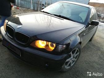   ,,   : 3VIN   : WBAEV334*5K****79 : 4: E46  (20012006):  