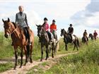 Новое изображение  прогулки на лошадях 32550351 в Москве