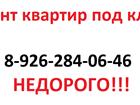 �������� �����������  ������ ���������� ��� ���� � ����������� � ���������� 38524881 � ������