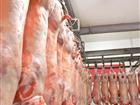 Уникальное фотографию  Производство и оптовые продажи мяса в ассортименте 82855731 в Москве