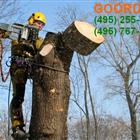 ������ ������� �������� � ������