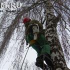 �������� �������� �������, �������� ���� - ���