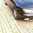 Nissan Primera 1.6 ��, 2000, 316 000 ��