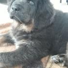 ��������� ������