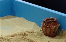 Международная программа Sandplay (ISST): Теория и практика Песочной терапии