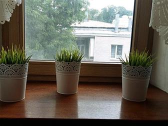 ������ ����������� ������ ����� ���� 2 �, ��, ����� ���, ����������� 3/3����, 50�, ������ , 37820675 � �������-��-����