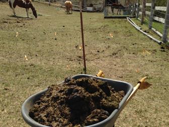    ,  , ,  , , 38738831  -