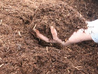    ,  , ,  , , 38738831  -