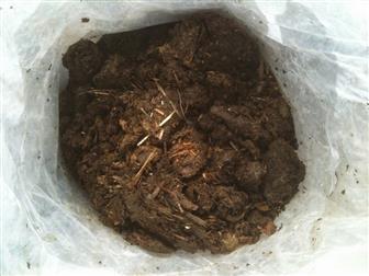    ,  , ,  , , 38738831  -