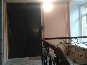  foto   ,    3- , 43861865  -