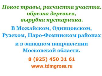  foto   ,  ,  ,  ,   66359812  