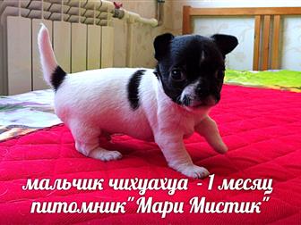 ���� � ������
