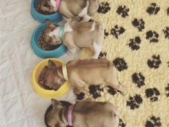����������� ���� ������ ���� ���� ����� ��� �� ������ ������� � �������! ��� ��� ������ ����� ���������, ��������,��������� � ����!P, S �� �������� ��������� (�� � ������