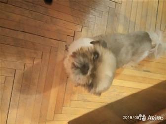 ����� � ������ ����,  �� �����������, 10 ���,  ��������, ������ ���, ����, �����, ������ � ������� ����, � ������
