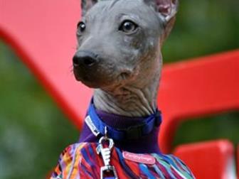 ������������ � ������� ������� ������������� ������ �������, ��������� �������� ������, ���� �������� 27, 03, 2019��������� ������, ������, ���, ��������� ���, �������� � ������