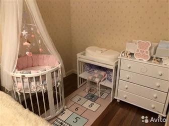   ComfortBaby 81,       -   ,   ,      ,  