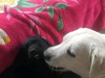 ����� ���������,����� �����,  � �� ��������,������ ��������� ���� ����� �� ����� ����������� � ���������� ������, �������� ����,  �������������,  ����� ����� �������,��������,������, � ������