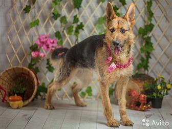 ���� ���� ����� ������� -�� ������, ������������ ������ ����, ������ ����� � �������� ������� �� ����! �� ���� �������� ���� - ��� �� ����� ������� ��� ����������� � ������