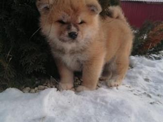 �������� �������� ������� � ����������� 1,  5 ���������� ����� �������, ������ �����, ����� ������� ����� 2 ����� � ������ (���� ��� �������)����� ��������� � � ������