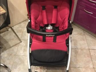   Peg Perego Book plus pop up,     !       ,   :      ,  