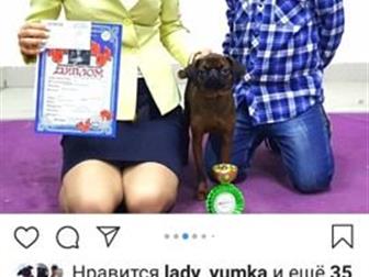 ����� 25, 12, 2017,  �������� ������ �������, � ����������� ���,  ���� ���� �������,  ������� �� ���������� ������,  � ���� �����-�������� �����, ���� �����,  ��� � ������