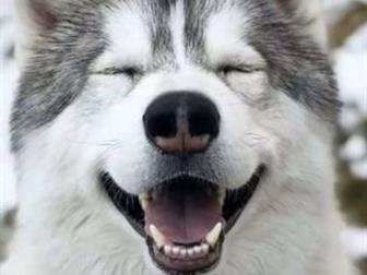 ������ ����� ������ ������� 2 ���� ��������� ����� ������  ������ ������� � ������