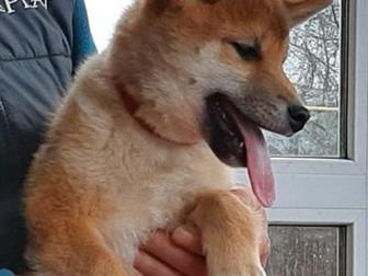 ������ � �������� � ����� ��� ���� ( ����) ������� � ��������,  ���� ������  ��� ��������������,  ��������� ��� , ��������, ������,  ���� 45-60,   �������� ��������, � ������